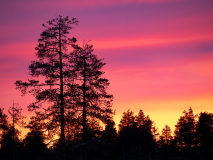 Zonsondergang-Sunset-Sonnenuntergang-Finland-Finnland
