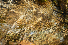 Rivier-river-Fluss- Agly-Frankrijk-France-Frankreich