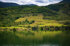 Lac Agly-Frankrijk-France-Frankreich