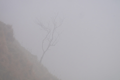 Vogezen-Vosges-Vogesen-Frankrijk-France-Frankreich-