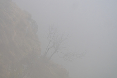 Vogezen-Vosges-Vogesen-Frankrijk-France-Frankreich