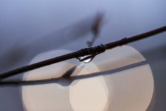 Vogezen-Vosges-Vogesen-Frankrijk-France-Frankreich