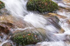 Vosges-Vogesen-Frankrijk-France-Frankreich-Grande cascade de Tendon