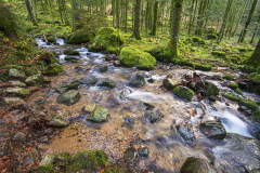 Vosges-Vogesen-Frankrijk-France-Frankreich-Grande cascade de Tendon