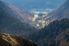 Vogezen-Vosges-Vogesen-Frankrijk-France-Frankreich