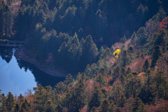 Vogezen-Vosges-Vogesen-Frankrijk-France-Frankreich