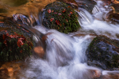 Vogezen-Vosges-Vogesen-Frankrijk-France-Frankreich