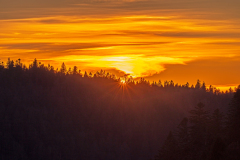 Vogezen-Vosges-Vogesen-Frankrijk-France-Frankreich-Zonsondergang-Sunset-Sonnenuntergang Hohneck