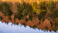 Vogezen-Vosges-Vogesen-Frankrijk-France-Frankreich-Lac de Lispach
