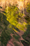 Vogezen-Vosges-Vogesen-Frankrijk-France-Frankreich-Lac de Lispach