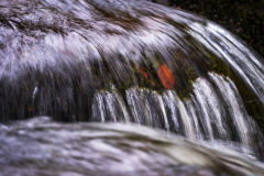 Vogezen-Vosges-Vogesen-Frankrijk-France-Frankreich-Cascade Charlemagne