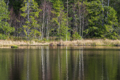 Vogezen-Vosges-Vogesen-Frankrijk-France-Frankreich-Lac de Lispach