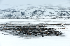 Arskogar-IJsland-Iceland-Island