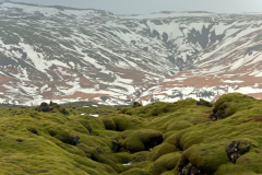 Hraun-IJsland-Iceland-Island