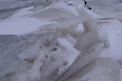 Fjallsárlón kruiend ijs-Ice shove-Eisschub-IJsland-Iceland-Island