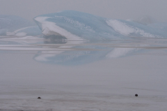 Fjallsárlón-IJsland-Iceland-Island