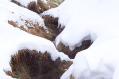 Geysir-IJsland-Iceland-Island