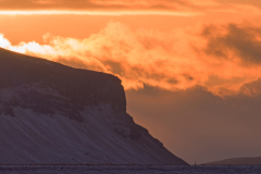 Vik-IJsland-Iceland-Island