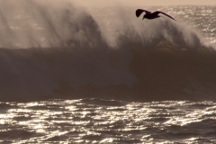 Reynisdrangar-IJsland-Iceland-Island