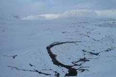 Sanda-IJsland-Iceland-Island