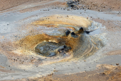 Leirhnjúkur-IJsland-Iceland-Island