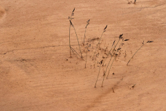 Leirhnjúkur-IJsland-Iceland-Island