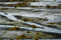 Berserkjahraun-IJsland-Iceland-Island