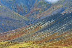 Berserkjahraun-IJsland-Iceland-Island