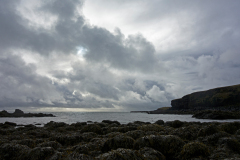 Gislabær-IJsland-Iceland-Island