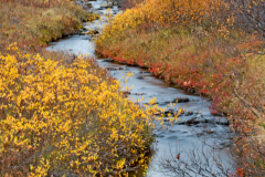 Hljodaklettar-IJsland-Iceland-Island