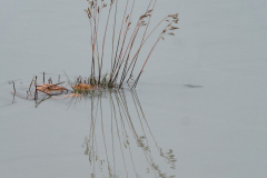 Námaskarð -IJsland-Iceland-Island