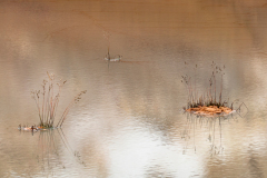 Námaskarð-IJsland-Iceland-Island