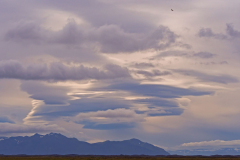 Myrar-IJsland-Iceland-Island