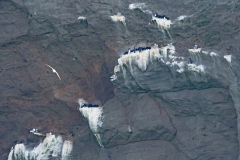 Vestmannaeyjar-Westmaneilanden-Westman islands-Westmannerinseln-IJsland-Iceland-Island