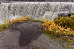 IJsland - Iceland - Island 2009