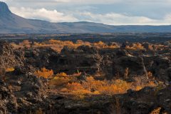 Dimmuborgir-IJsland-Iceland-Island