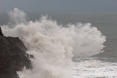 Dyrholaey-IJsland-Iceland-Island