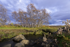 Hljodaklettar-IJsland-Iceland-Island