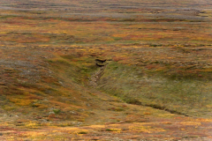 Hljodaklettar-IJsland-Iceland-Island