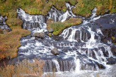 Hraunfossar-IJsland-Iceland-Island