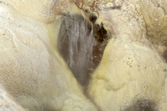 Hvredalur-IJsland-Iceland-Island