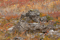 Krafla-IJsland-Iceland-Island