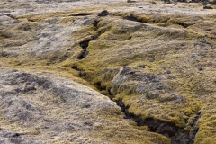 Krafla-IJsland-Iceland-Island