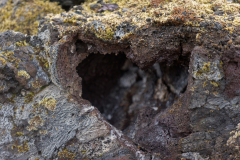 Krafla-IJsland-Iceland-Island