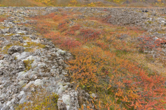 Krafla-IJsland-Iceland-Island