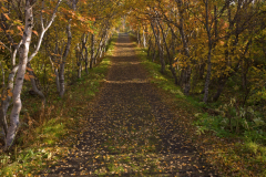 Myvatn-IJsland-Iceland-Island