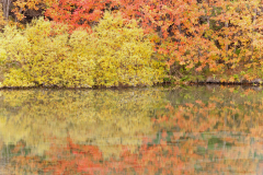 Myvatn-IJsland-Iceland-Island