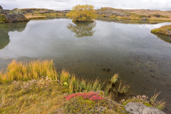 Myvatn-IJsland-Iceland-Island