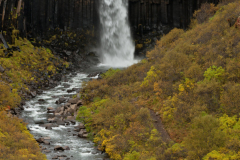 Svartifoss-IJsland-Iceland-Island
