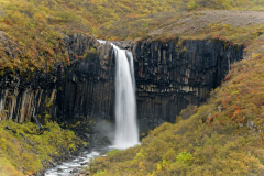 Svartifoss-IJsland-Iceland-Island